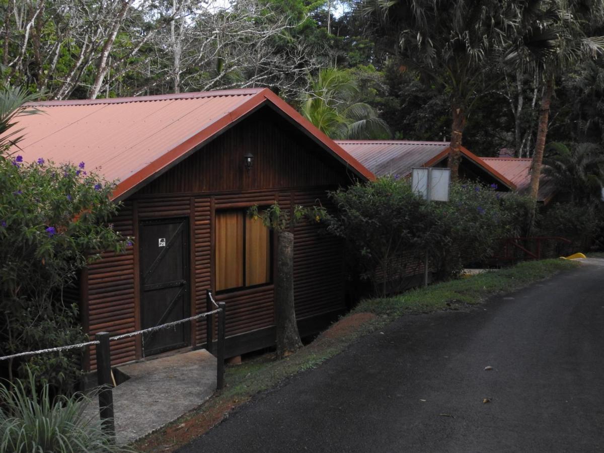 Hotel Pedacito De Cielo Boca Tapada Exteriér fotografie